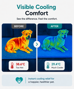 NexooPet™ Dog Cooling Mat